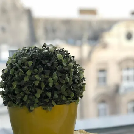 The Liberty Square Rooftop * Budapest